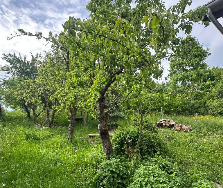 Kuća ID 704 29